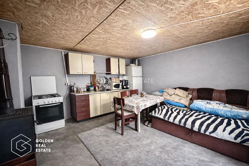 Casa cu 3 camere in Sinicolau Mic, teren 400 mp - 7