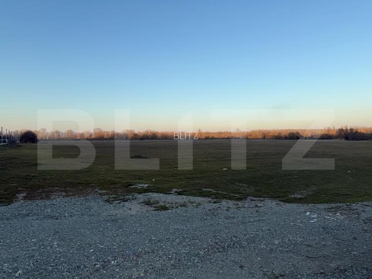 Teren intravilan industrial, 4307 mp, Podari - 2