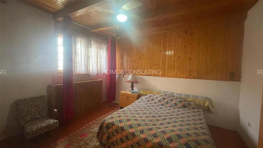 Ferdinand, cartier rezidential, vila burgheza cu magnolie - 7