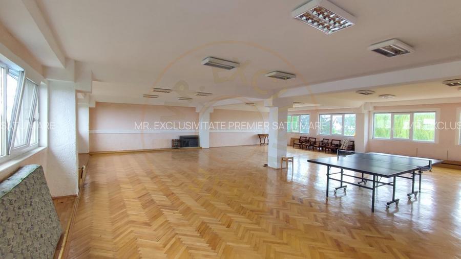 Inchiriere Spatii de Birouri - Str. C. A. Romane - Carei - Comision 0% chirias - 8