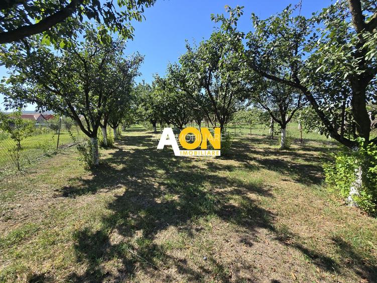 Casa 5 Camere 1700mp Teren, 10km de Alba Iulia - 4