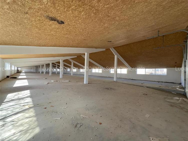 Hala depozitare - productie Iasi, Ciohorani, 3510mp - 3