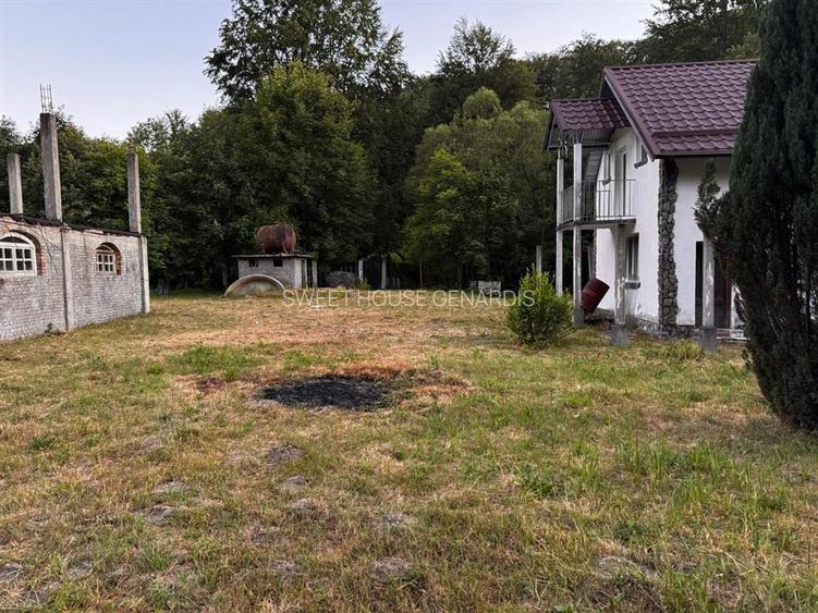 Oportunitate de investitie Cabana Cartisoara Zona Turistica - 21