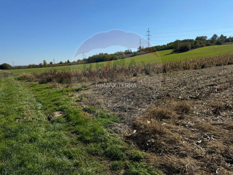 1.500 eur/ar - TEREN INTRAVILAN in Lapusel - 3