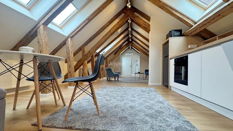 APARTAMENT COZY CU 2 CAMERE LA MANSARDA UNEI VILE - 2