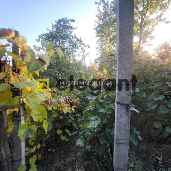 Teren 733 mp, Bariera Valcii-zona strazii Cantonului - 2