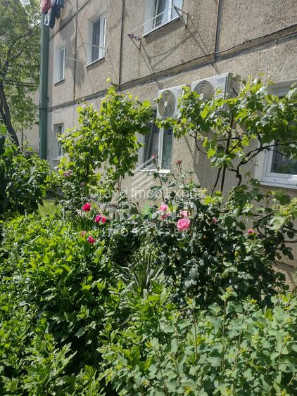 Vanzare : Garsoniera | 11 MP | Etaj 3 | Gheorgheni/Albac - 7