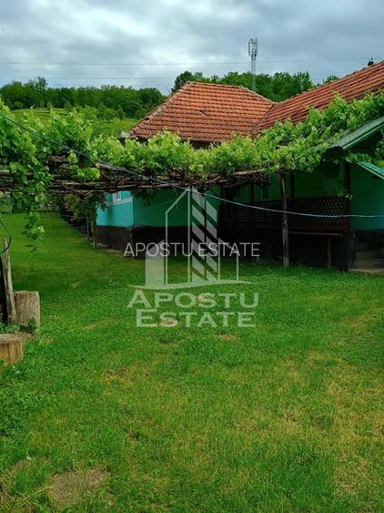 Casa batraneasca de vanzare, 4 camere, in Hunedoara, sat Micanesti - 3