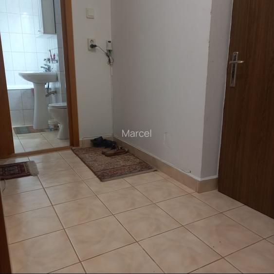 Garsoniera 1 camera zona Stadion Primăverii  - 9