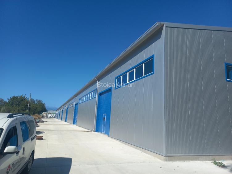 Hala productie sau depozitare 10000 mp - 2