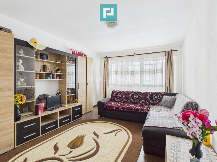 Apartament decomandat cu 2 camere în Aradul Nou - 12