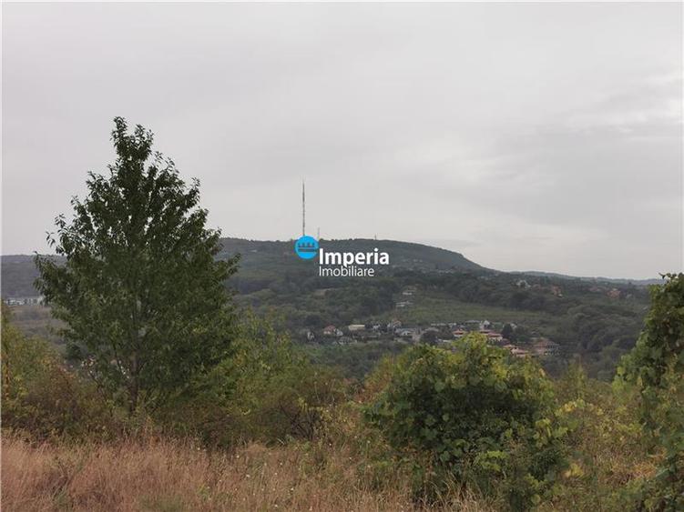 Teren intravilan de vanzare Visan 6380 mp
