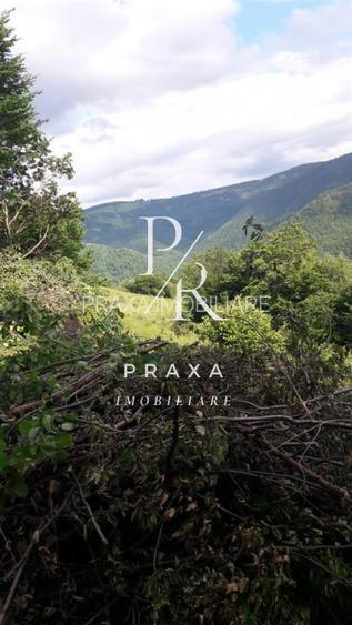 Teren de vanzare 10.000 mp/ parcelabil, cu utiitati, 4 euro/ mp! Maguri Racatau! - 3