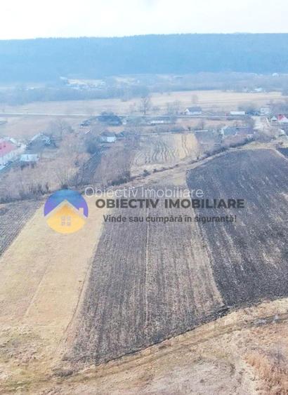 Teren INTRAVILAN  10.515 mp - BODEȘTI, judetul NEAMȚ - 14