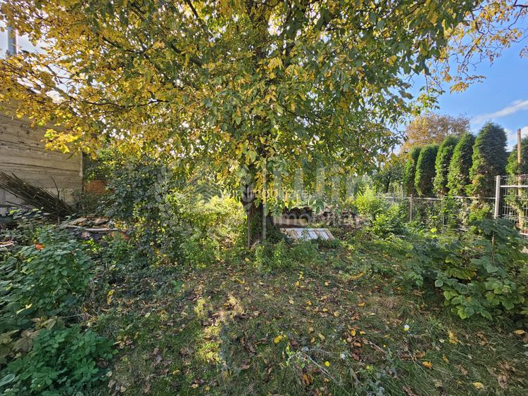 Casa individuala 2 camere | Teren 770mp | Front 12ml | Dambul Rotund - 10