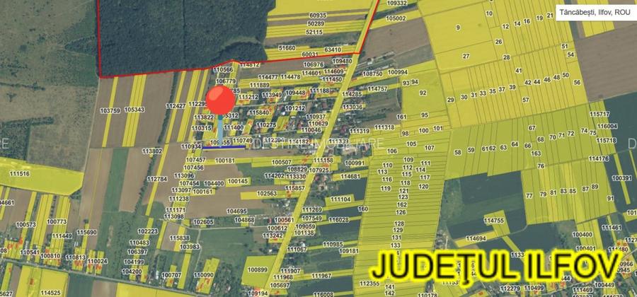 Loturi de teren intravilan in suprafata de 715 mp respectiv 1800 mp, Tancabesti - 2