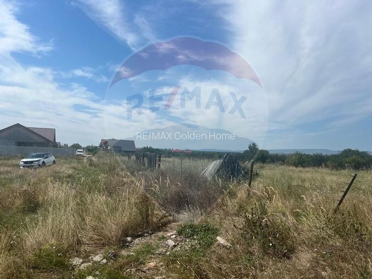 Teren intravilan Golesti / Aleea Lacramioarei - 4