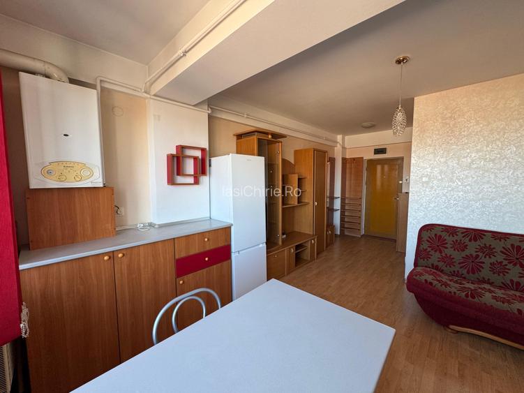 Apartament cu 2 camere Tatarasi - 4