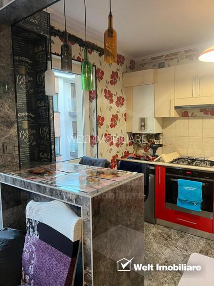 Apartament de 2 camere, recent renovat, zona Muzeul Apei, etaj 1, parcare ! - 4
