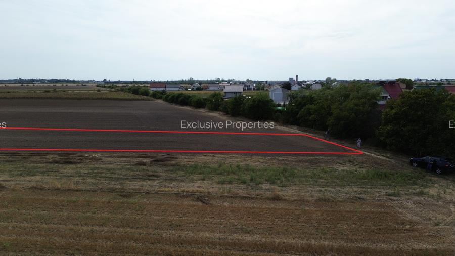 Teren intravilan 6000 mp Darza 13E/mp deal pentru case, ferma, productie - 3