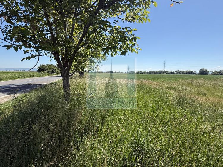Teren intravilan 50000 mp, cu PUZ, Aprobat - zona Halchiu/Codlea - 3
