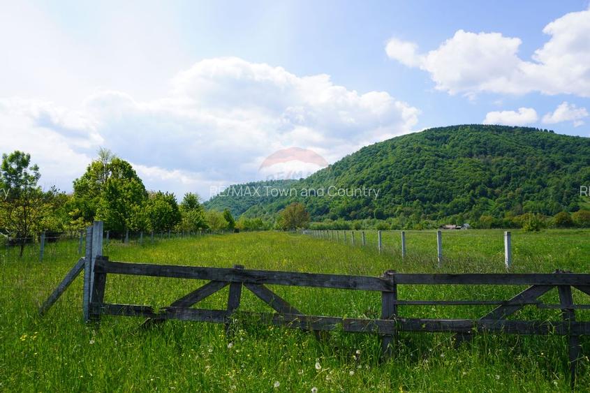 Teren 2,486mp Sighetu Marmatiei / Strada Constantin Dobrogeanu-Gherea - 4