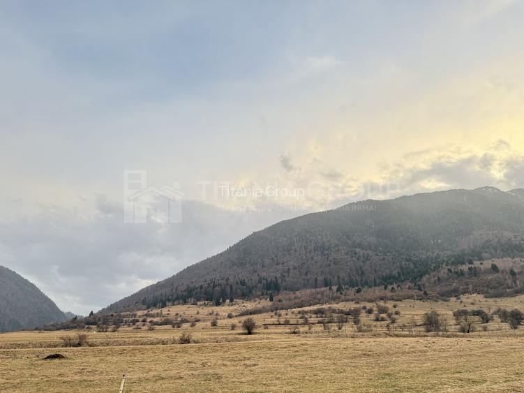 Teren intravilan, 2548 mp, cu priveliște superbă - Zărnești - 9