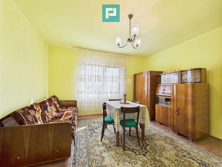 Casă cu teren de 4707 mp în Hălmăgel, județul Arad - 8