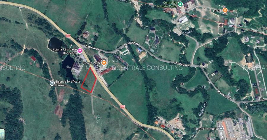 Teren excelent localizat la sosea langa Doripesco / gaz /curent/ apa - 2