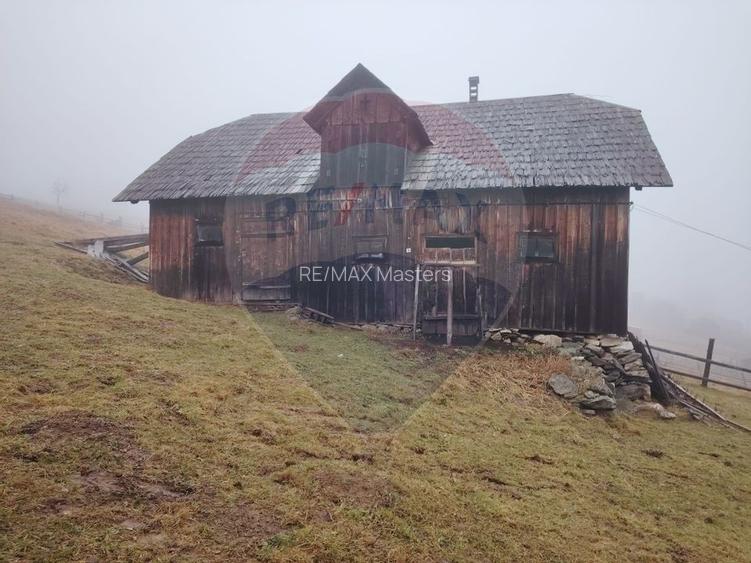 Teren INTRAVILAN 23.238m.p. Dorna-Arini / Cozănești - 11