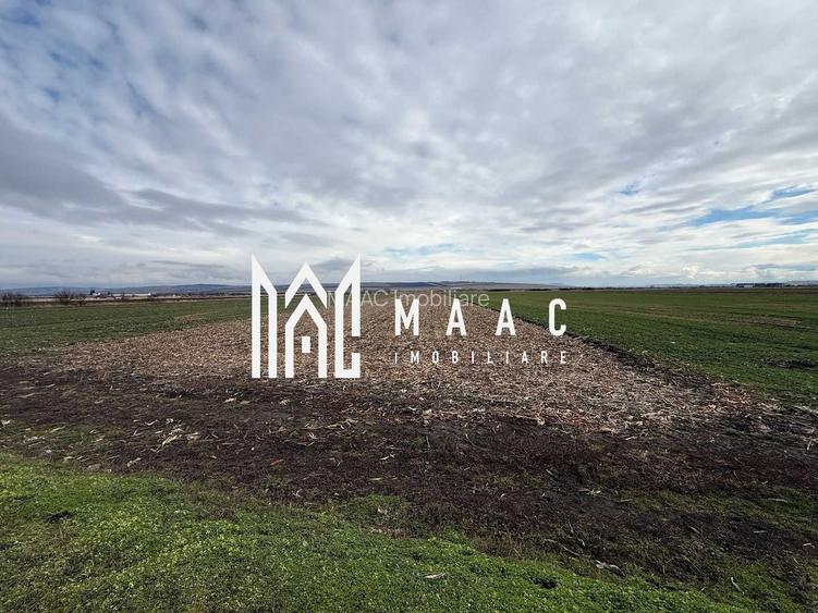 Teren intravilan | 9600 mp | Șură Mică | Utilități | Drum Asfaltat - 5