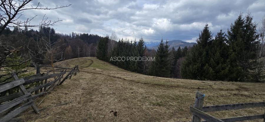 Teren intravilan construibil Brasov Bran  Poarta utilitati vedere spre munti - 5