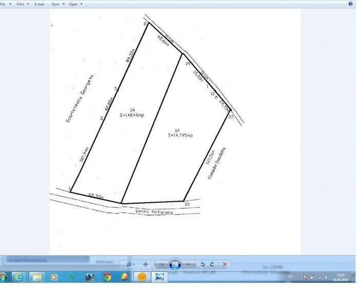 Proprietar, vand teren Albota, jud. Arges 29.300 mp deschidere 160 ml