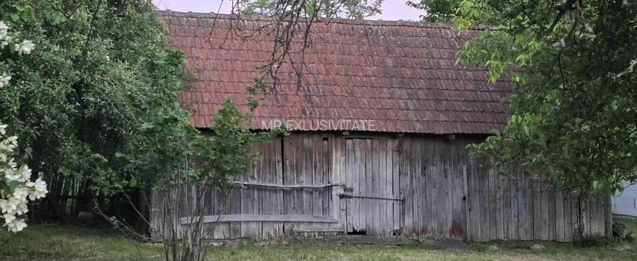 Casă cu 7.769 mp teren și pădure | Budieni | 53.000€ - 11