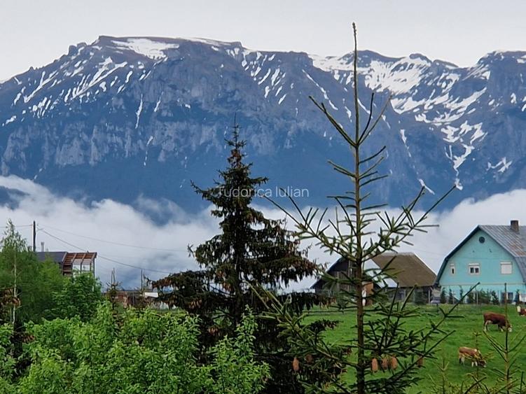 Cabană montană cu panoramă Bucegi & Piatra Craiului – Fundata - 7