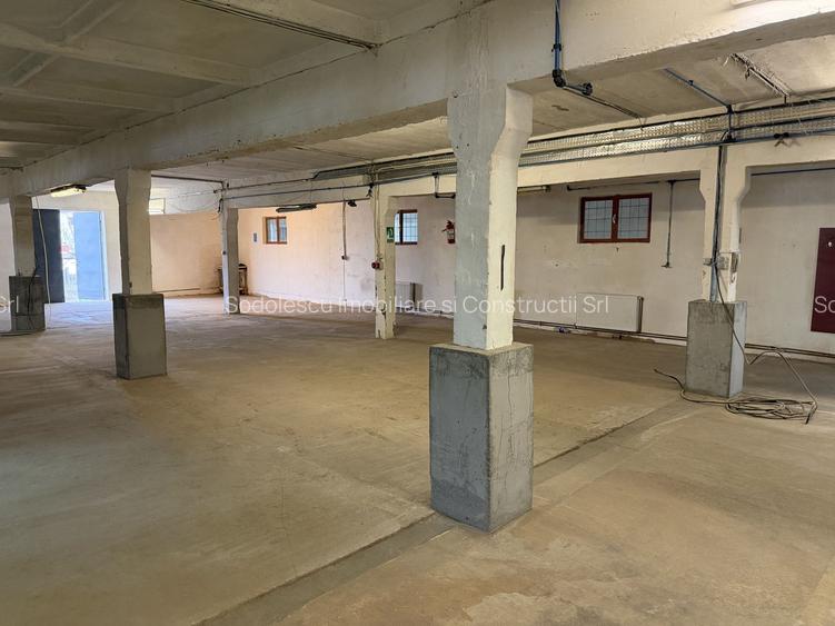 Hală industrială cu poziționare strategică în Giarmata - 17