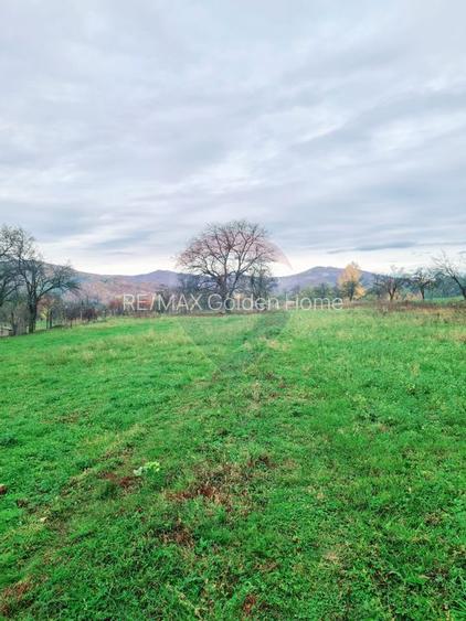 Teren intravilan  7370 mp in comuna Mera - 5