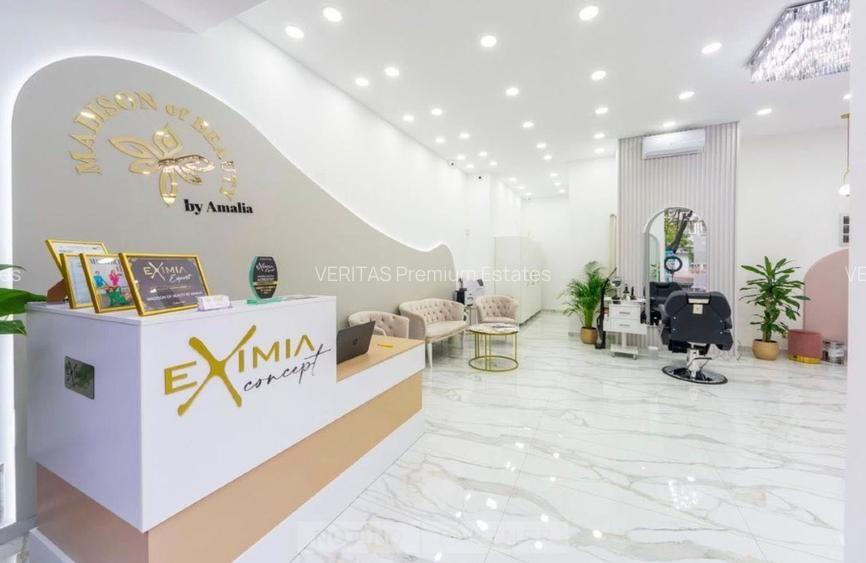 Comision 0! Salon la cheie de inchiriat Pta Victoriei, stradal bdul Titulescu - 4