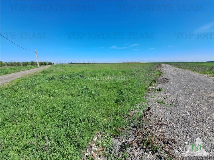 Loturi teren de vanzare Branesti/Vadu Anei - 2