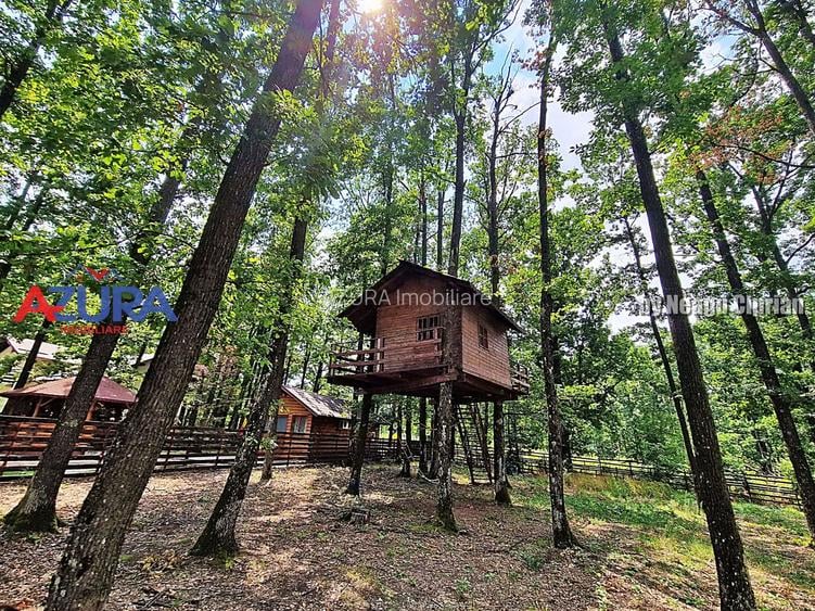 Casă de vacanță în pădure, 10 km de Pitești - Babana - 16