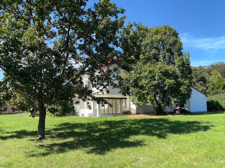 Casă S+P+1+M cu teren 2500 mp. Săftica Balotești,  Comision 0% - 3