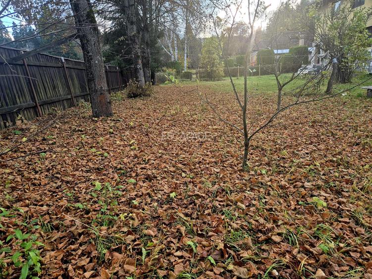 Casa de vacanta Timisu de Sus/Brasov/Oportunitate investitie - 16