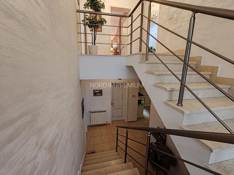 Invhiriere Vila Superba Pipera - 16