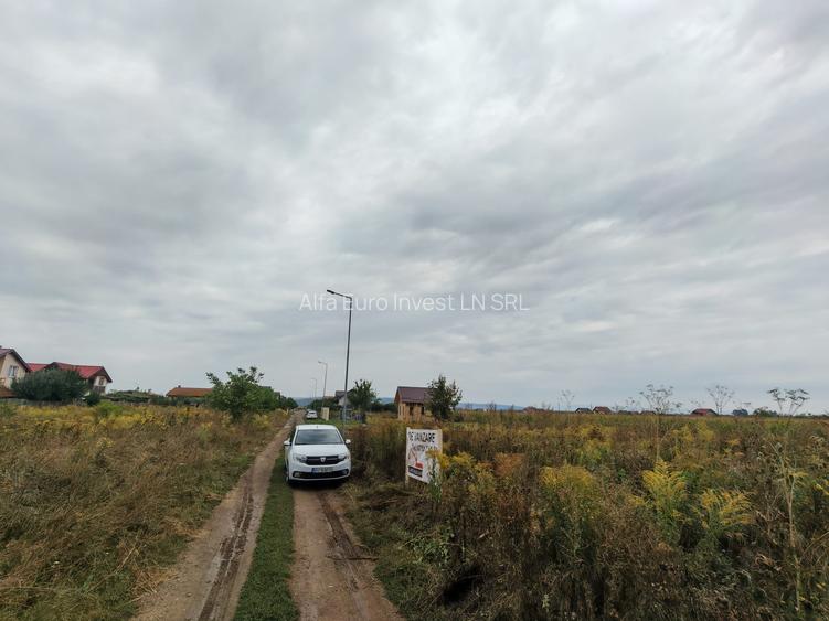 Teren de Casa - Harman - Brasov - 7