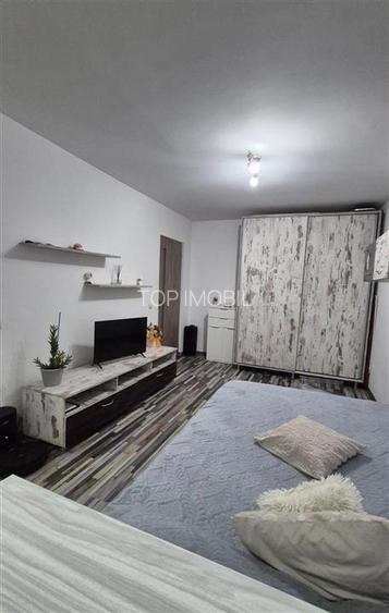 Apartament mobilat utilat- Nicolina - 3