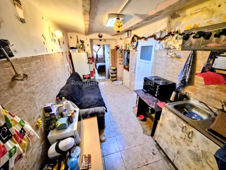 Apartament cu 1 cameră, zona Bălcescu, spațios, cu grădină - 5