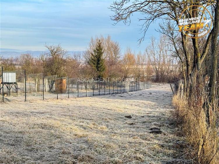 Teren 1.120 mp,Dobolii de Sus:liniste,aer curat si multiple posibilitati de util - 5
