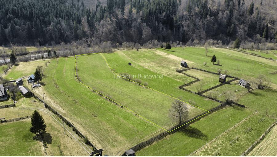 Vindem teren intravilan 8704 mp Vatra Moldovitei - Bucovina - 2