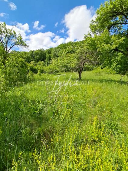 Teren de vanzare in Vii,  Podul Olt - 2