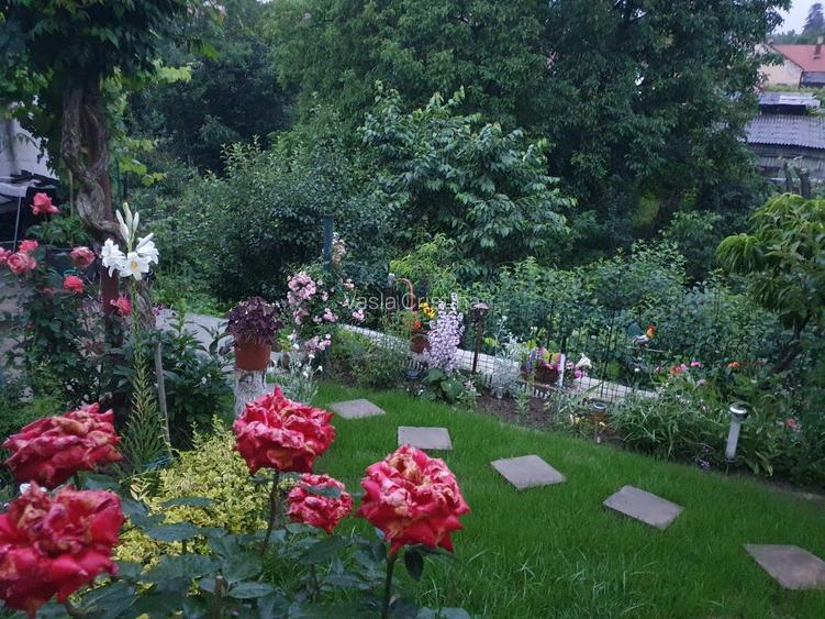 Casa cu gradina #pret negociabil # singur in curte - 14